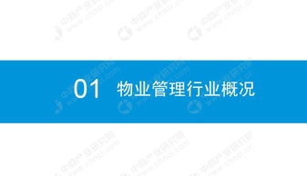2019年中国物业管理行业市场前景研究报告 简版